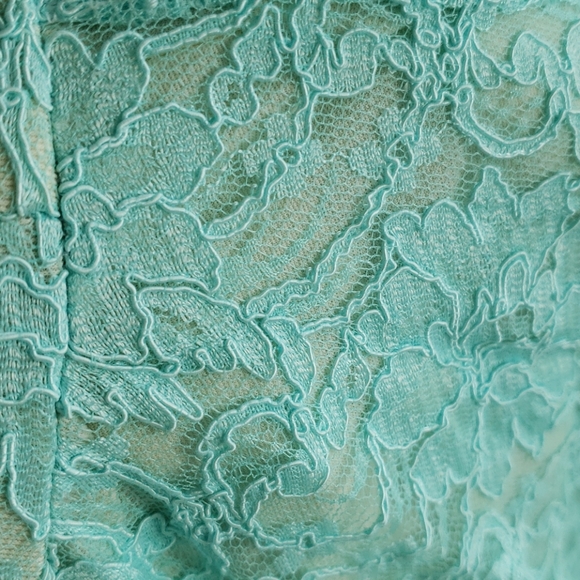 Blue Lace Midi Fit & Flare Dress - Picture 4 of 5